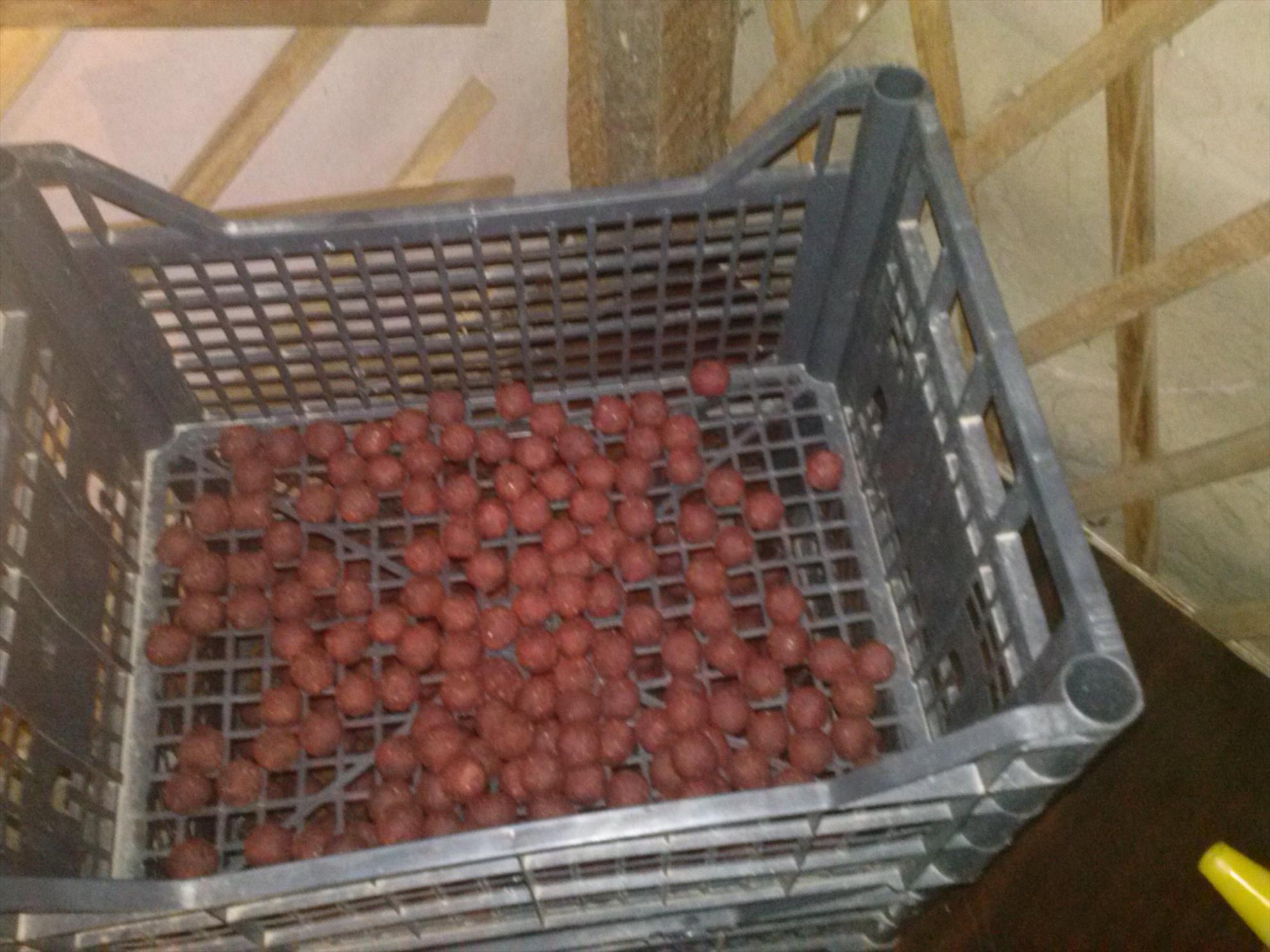 Cuibusorul meu de nebunii :-) - cam00009.jpg